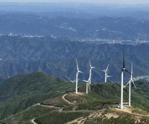 房屋建筑和市政基础设施工程实行工程担保制度
